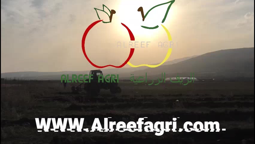 AlReef Agri الريف الزراعية | Yerevan