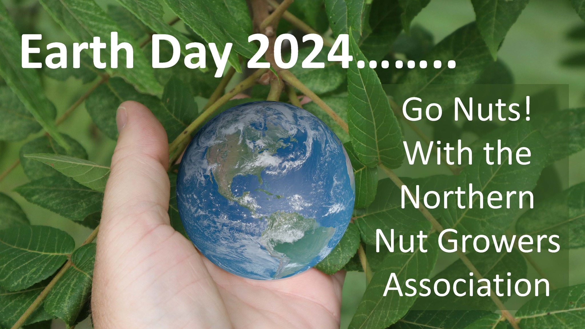 Hazelnut Academy starts Wed. January 19th at 5:30 pm and meets every ...