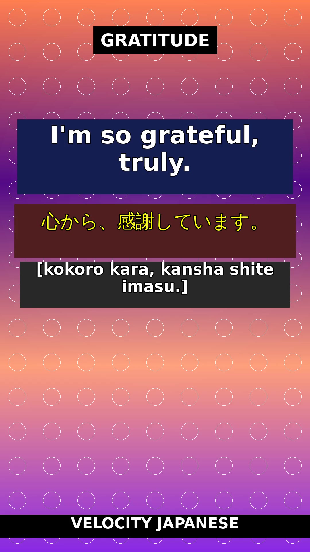 🇯🇵 Learn Japanese with Velocity Japanese! 🇯🇵 📚 Category