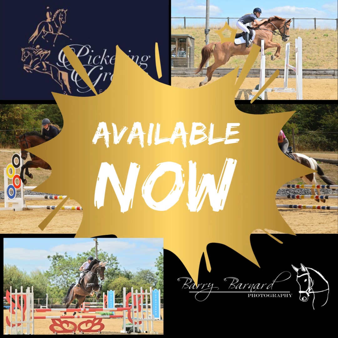THE FINALS -diana2025-/フォトブック From poles on the ground right up to 1.10m jumping today at