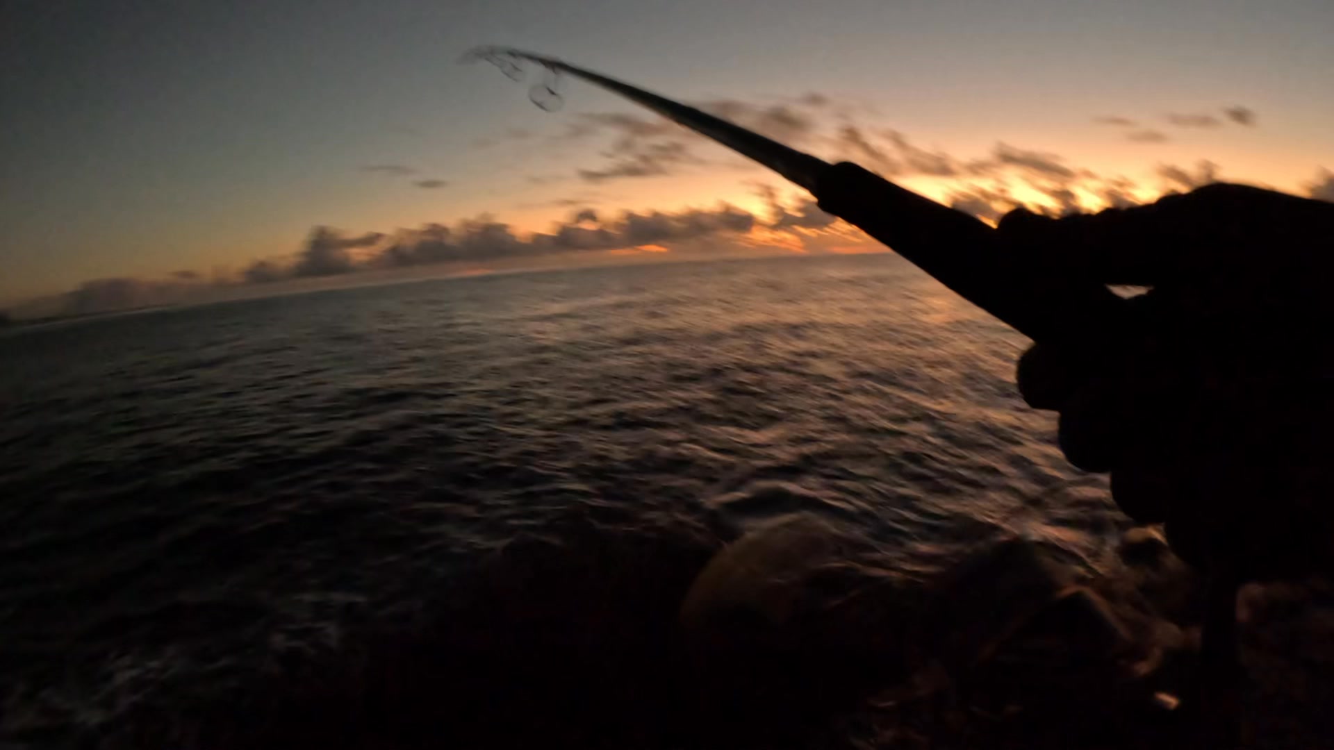 shimano spheros vs stella SW C Spinning Reel HAGANE Gear Size:iPhone 15 Pro STOCKTAKE 23 Ugly Stik Ugly Tuff