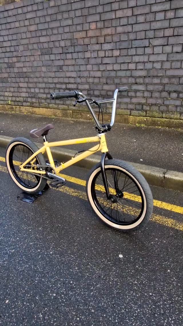 Custom @colonybmxbrand Sect 20 year anniversary frame kit built 