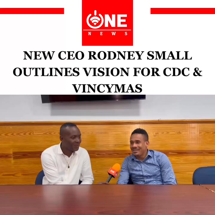 Mr. Rodney Small , the recently appointed Chief Executive Officer of ...