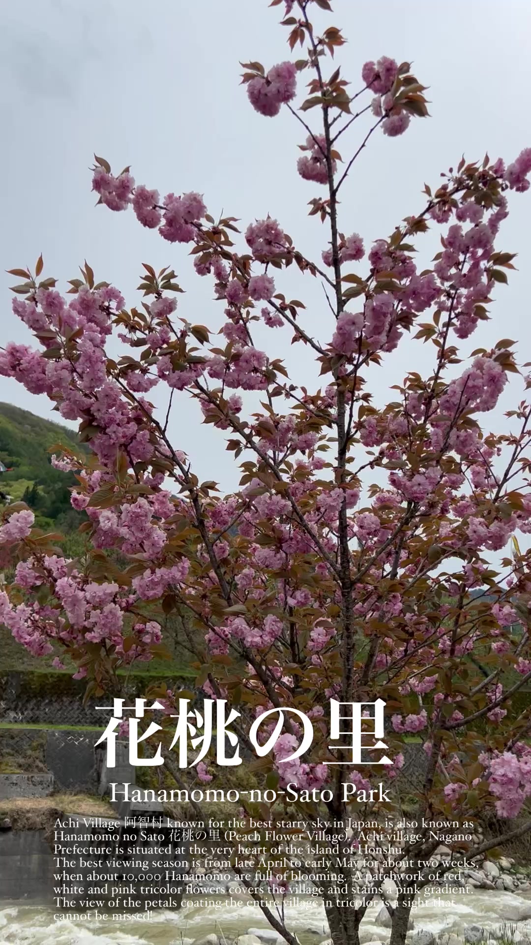 Located in Nagano, Hanamomo-no-Sato beckons with its captivating