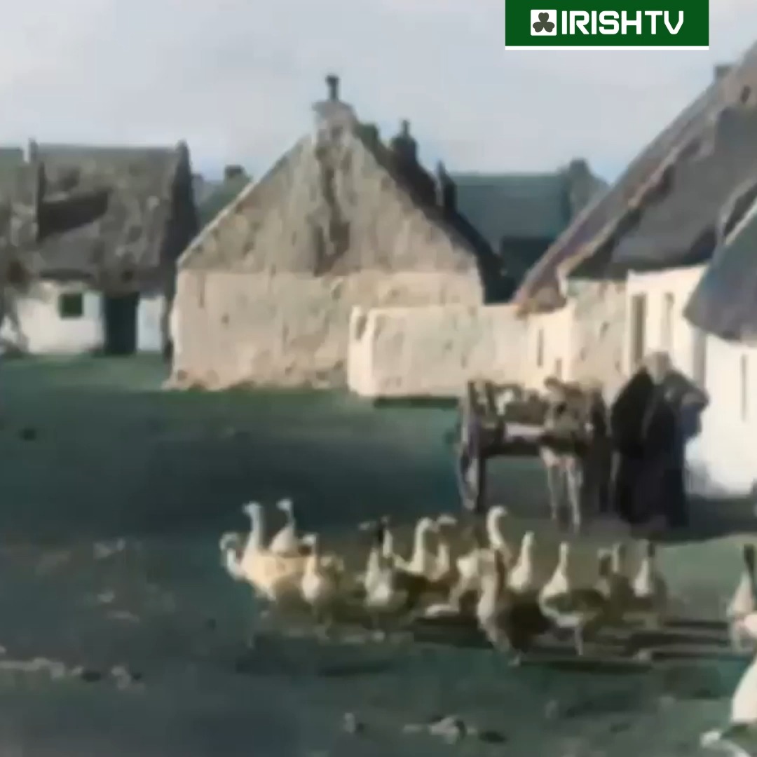A rare glimpse into life in rural Ireland in the 1940s! 🇮🇪💚 | Irish TV ...