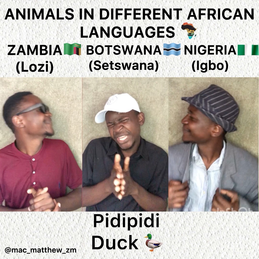 WORDS IN DIFFERENT AFRICAN LANGUAGES New Episode 😁 🇲🇼 🇰🇪 🇿🇲 Enjoy ...