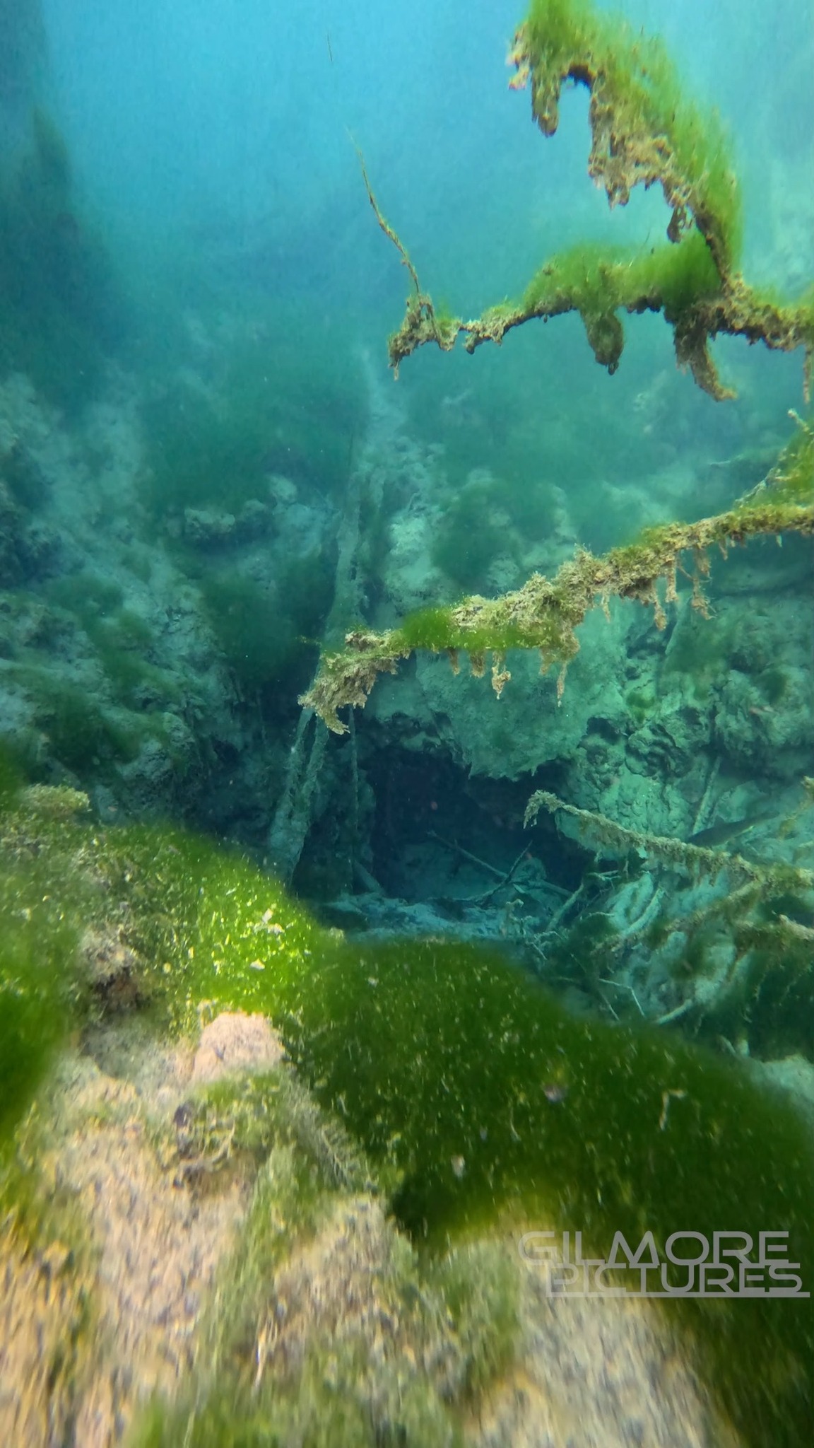 Checking out some springs vents that don't get seen very often 💦🤿 ...
