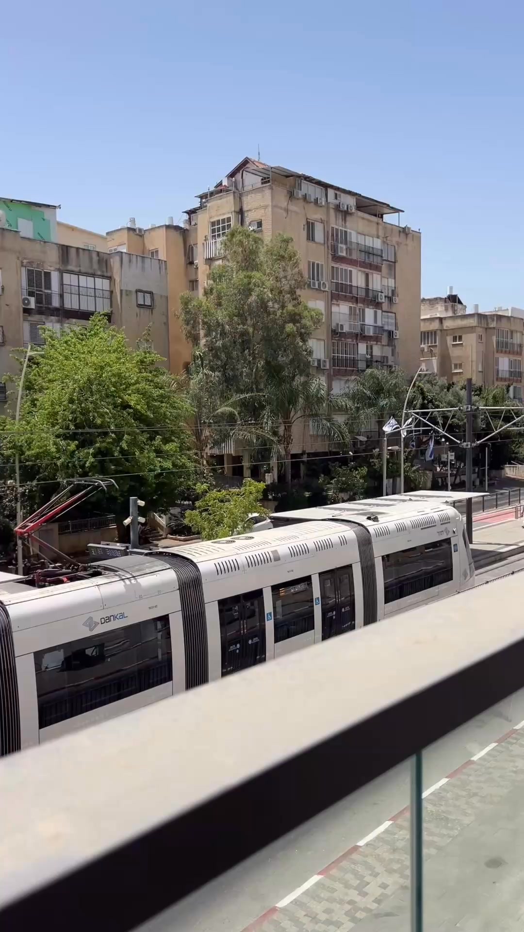 תמר מויסייב tamar mosayve | Petah Tikva