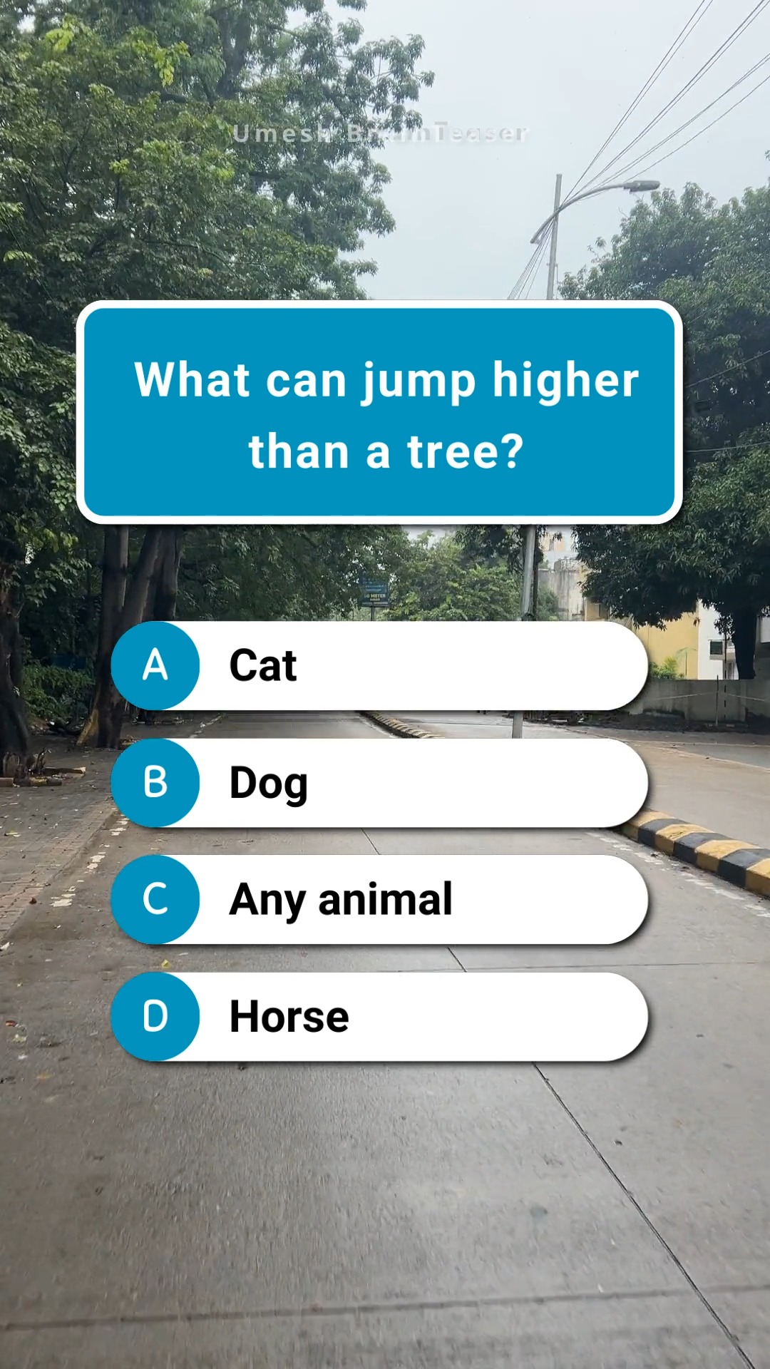 What can jump higher than a tree? 🐸 Tell us! #BrainTeaser # ...