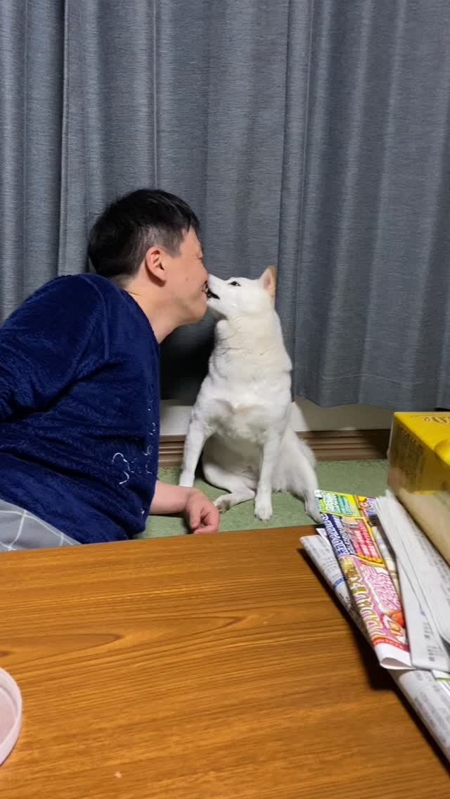 おとうさんがしつこいから付き合ってやったよ😅 🐕 Dad was being so persistent, so I played along ...