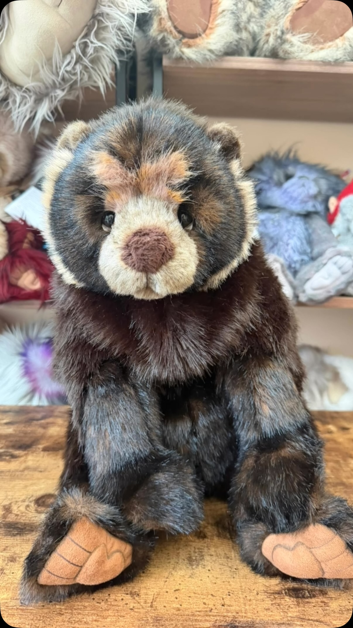 Check out this video and meet this gorgeous bear that has been