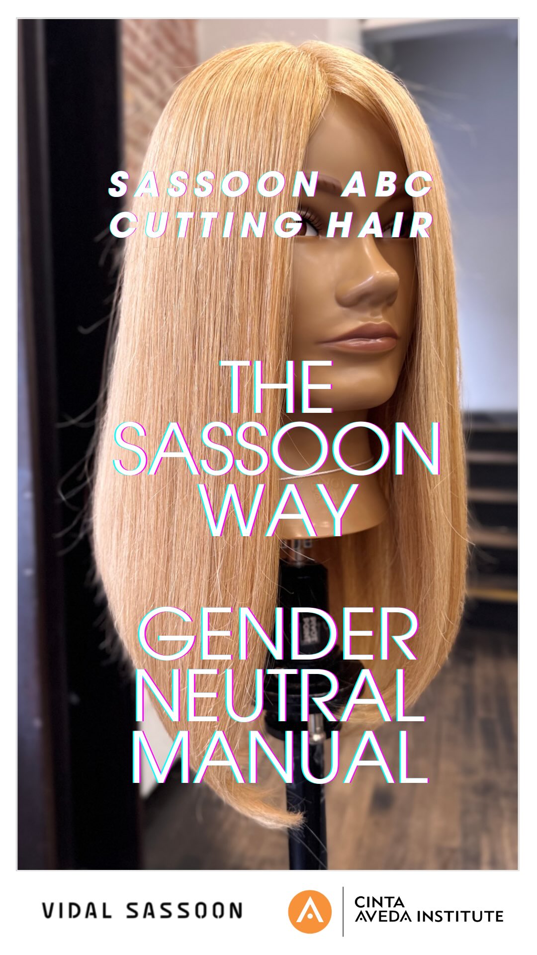 🔥 Everyone's talking about the NEW Sassoon ABC Manual… The