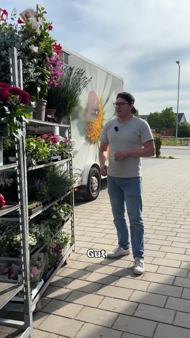🌸 Muttertag steht vor der Tür 🌸, Am kommenden Wochenende ist es soweit – und bei uns ist alles frisch eingetroffen:, Blumen, Pflanzen, Stauden und wunderschöne Pfingstrosen. 🌿💛, Ob als kleines