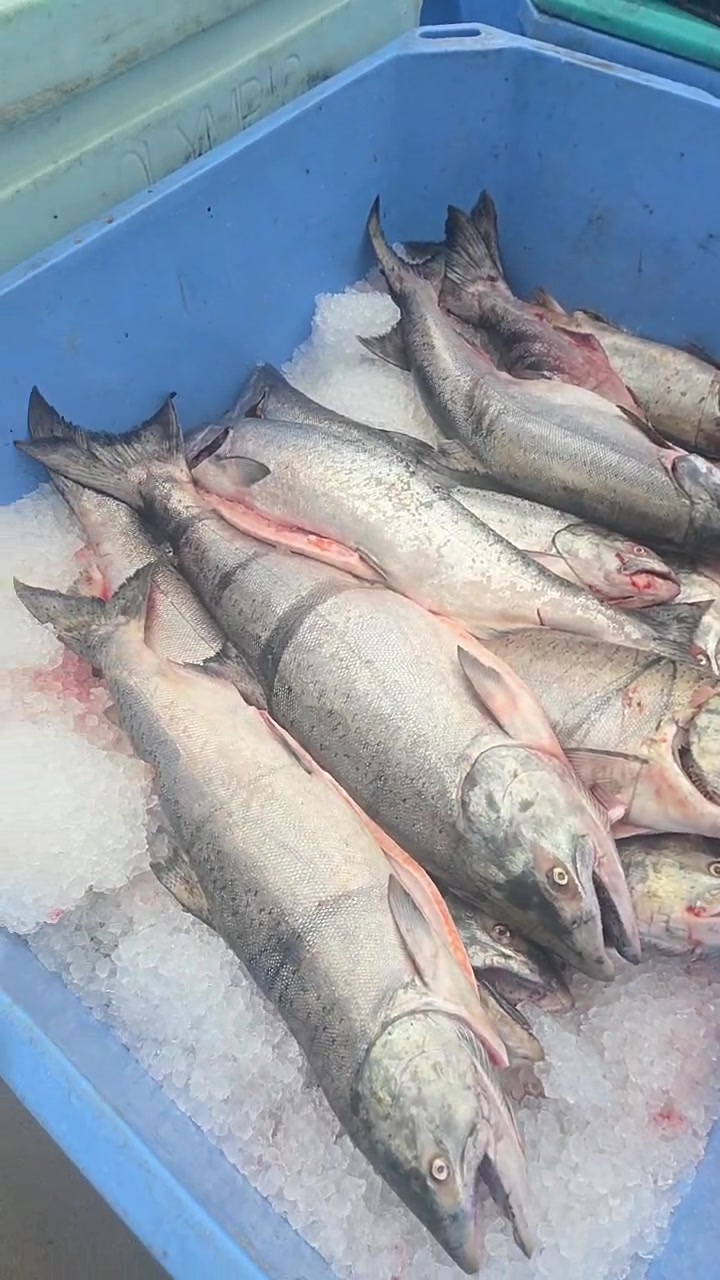 Kerby's Fish | Kelso WA