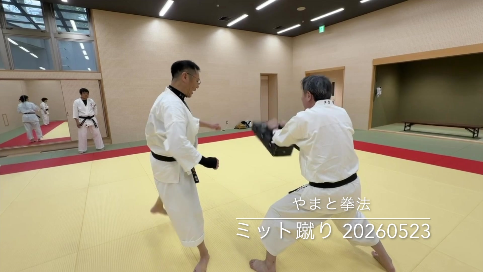 ☆最後の伝説が遺した技 武術と肉体鍛錬のあくなき追求 DVD『浅井星光