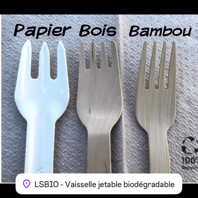 Wisefood Lot 100 Fourchettes Jetables Bois De Bouleau 16 Cm – Biodégradables, Écologiques, Sans Plastique, Stables Et Naturelles