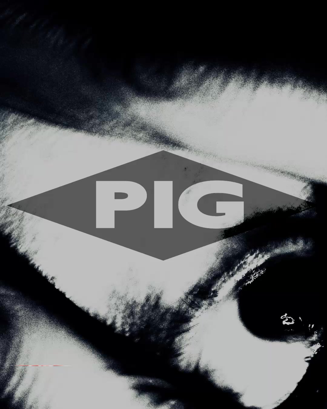 Raymond Watts' new Pig album artwork and sound