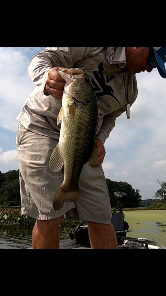 best pan fish rod and reel combo Eagle Claw Panfish Spinning Combos Rod/Reel Combos crafted in collaboration with Tackle Bag 15 pk 4