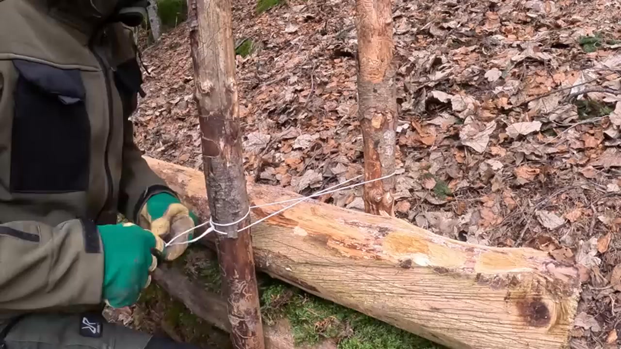 Building a Bushcraft Log Cabin for Survival - Catch & Cook - Start to ...