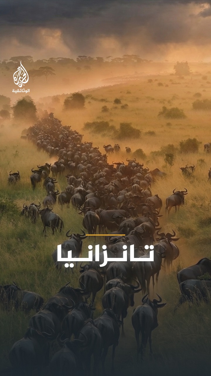الجزيرة الوثائقية تتمنى لكم يوما سعيدًا📸: @ellisvanjason⁣ ⁣ ليست نملًا ...