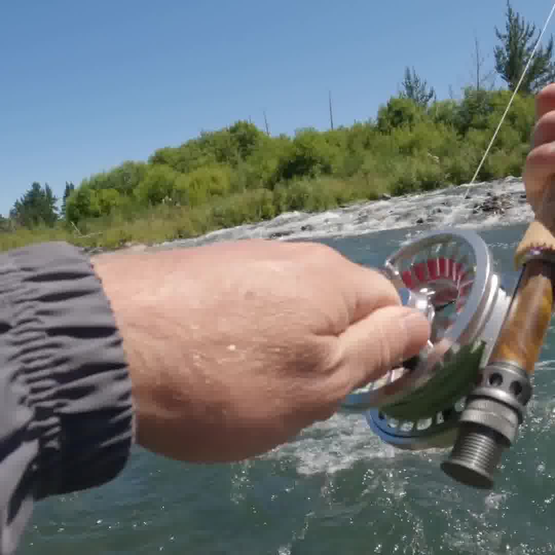 accurate star drag reels TXD-400 Tern 2 Reel PowerPro Spectra Braided Fishing reliable power without overloading soft_plastic Model:SB500MJ