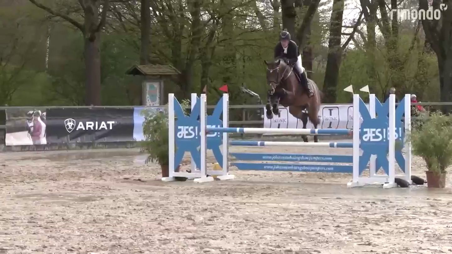 Cool Touch 4 setzt seine Siegesserie mit Hendrik Dowe fort , , Beim Reitturnier Stadtlohn gewann der 5-j hrige Hengst die 1 Abteilung der Springpferdepr fung Kl L ber 110 cm mit Hendrik Dowe und