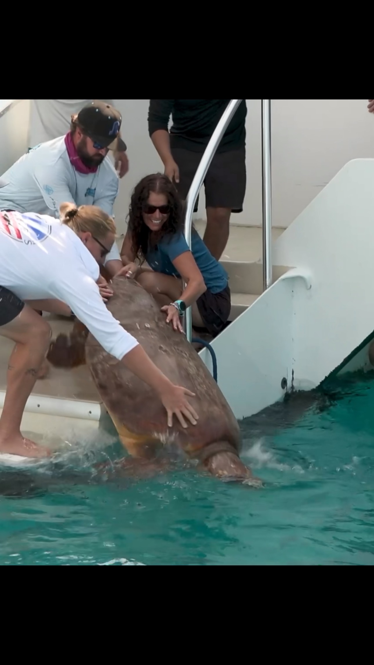 Less than two weeks after being rescued off the Florida Keys, “Lenny ...