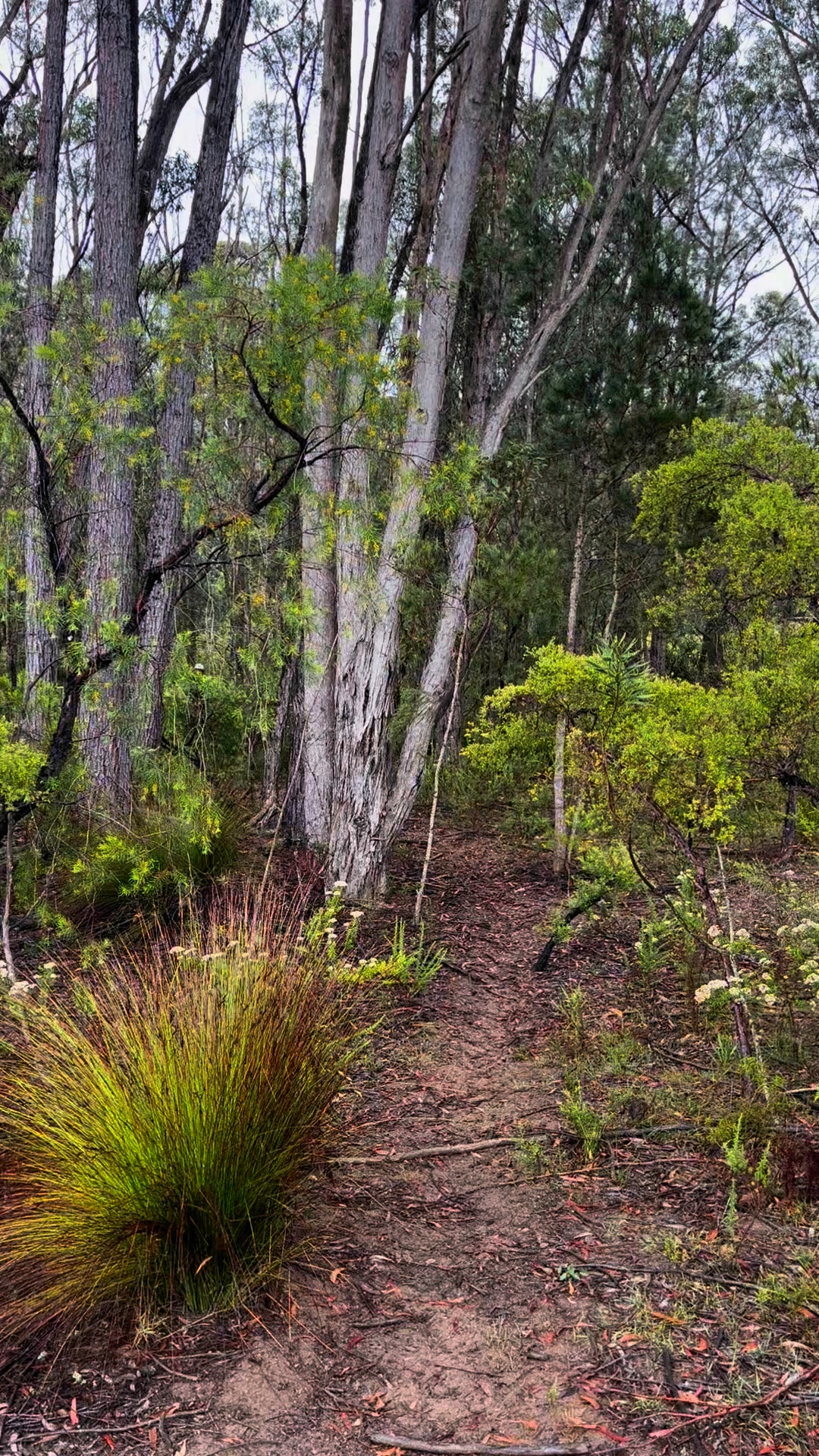 Wiepa Lodge | Wingello NSW