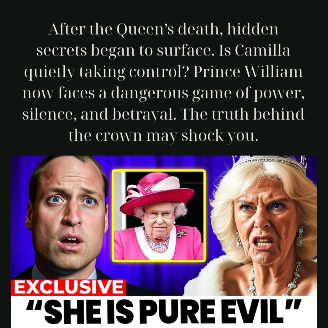 Full here: https://crowndaily.feji.io/blog/prince-william-faces-a-royal ...