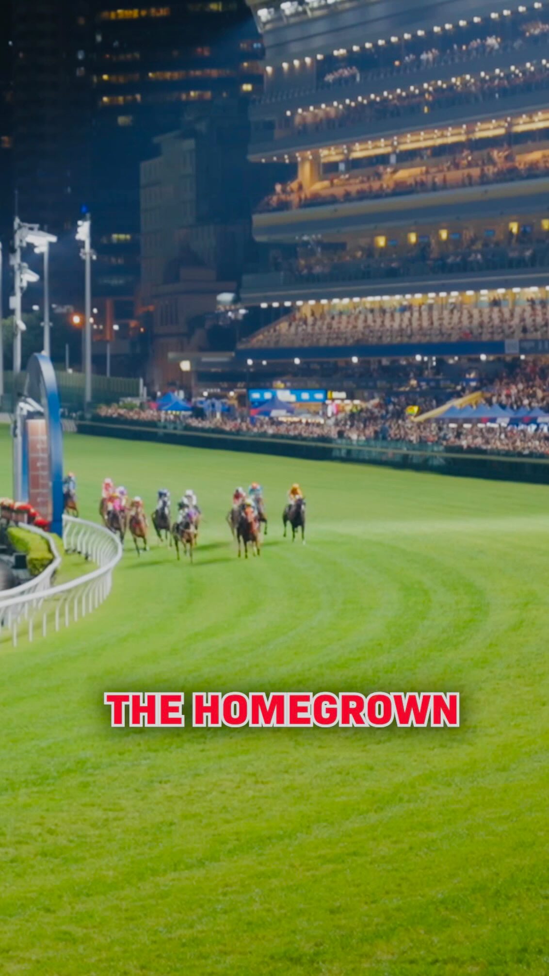 How did STAY GOLD and Yutaka Take win the Hong Kong Vase from