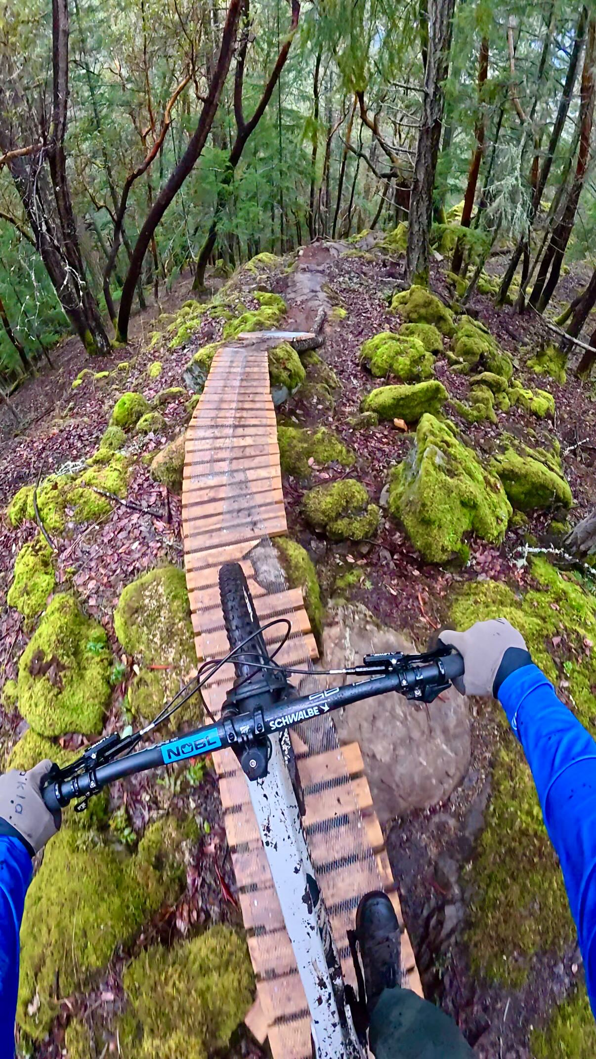 A perfect mix of rock, wood and moss on this trail. Love the arbutus ...