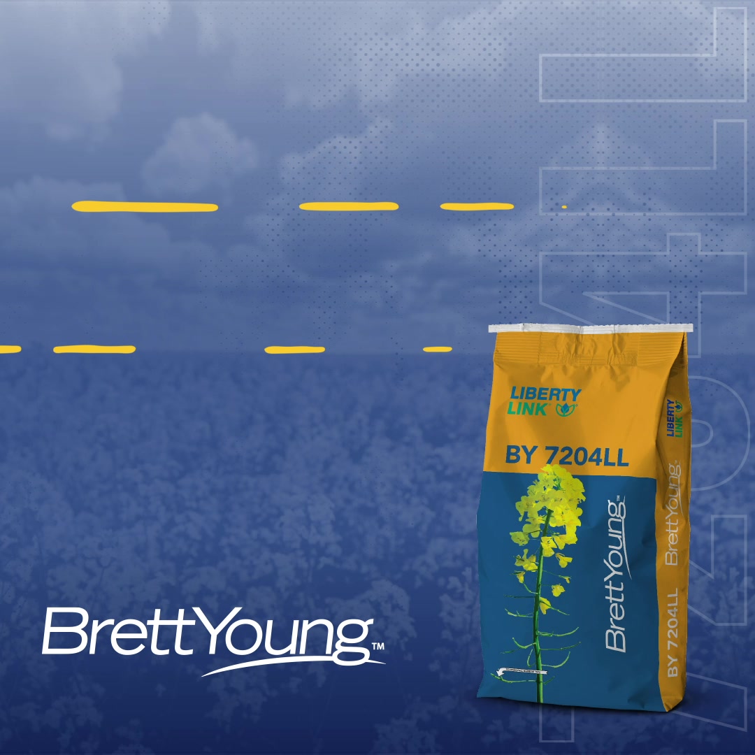 BY 7204LL is the first in our new line of LibertyLink canola hybrids ...