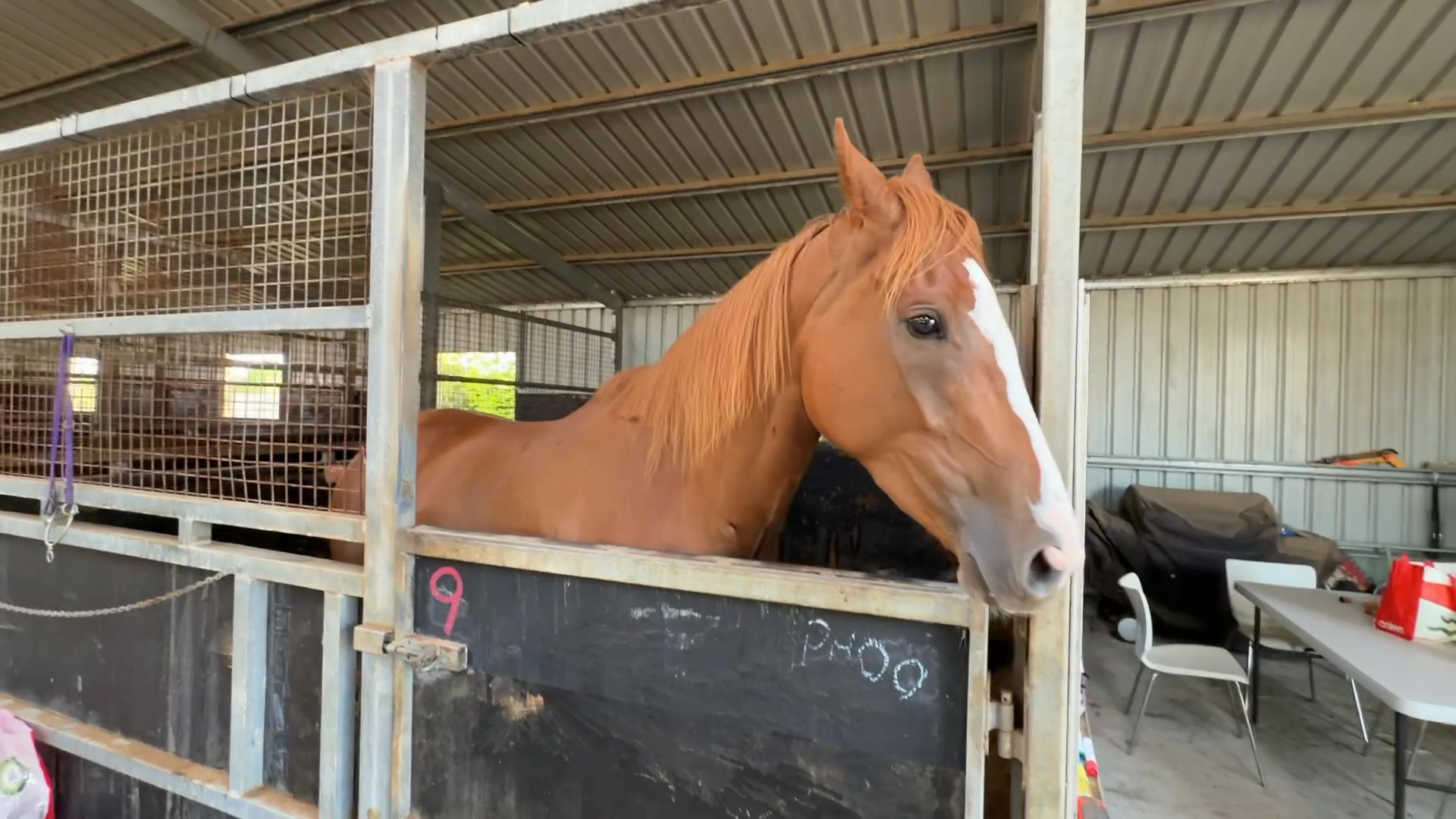 One runner today making her debut. We call her Phoo at home and race ...