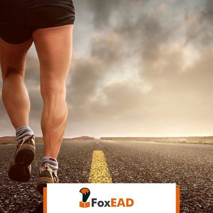 FOX EAD