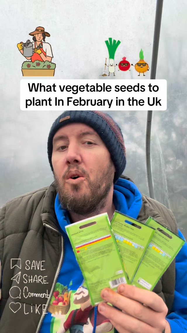 🌱 What Vegetables to Sow in February (UK) 🌱 February might feel cold ...
