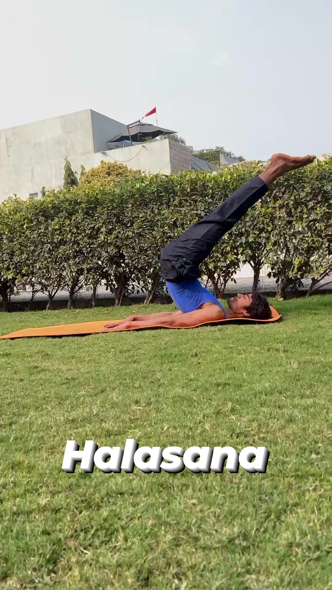 Halasana (Plough Pose): A Powerful Yoga Asana for Strength & Vitality ...
