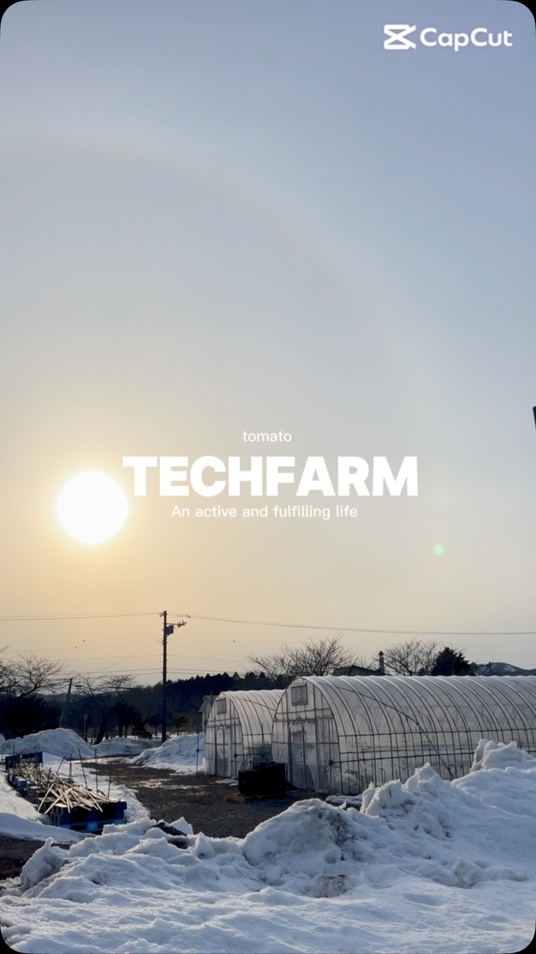 Tech Farm
