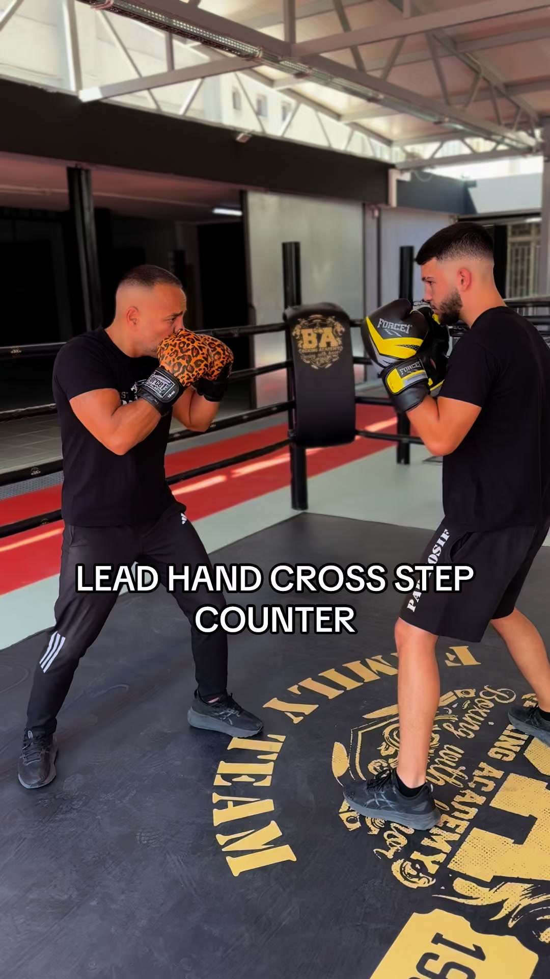 Lead hand cross step counter 🥊 #papaiosif #boxing #family # ...
