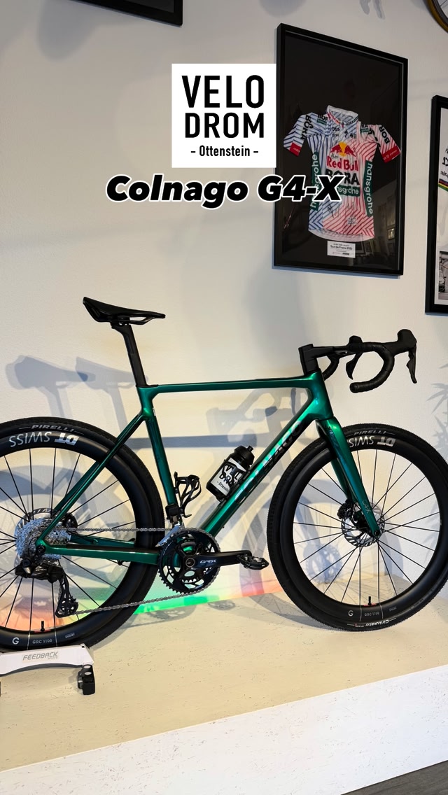 pegasus fahrräder firmensitz Premio Evo 8R E-Bike Gebraucht | Generalüberholt Fahrrad Wanddekoration Größe:Gr.94 Damenrad Vermont