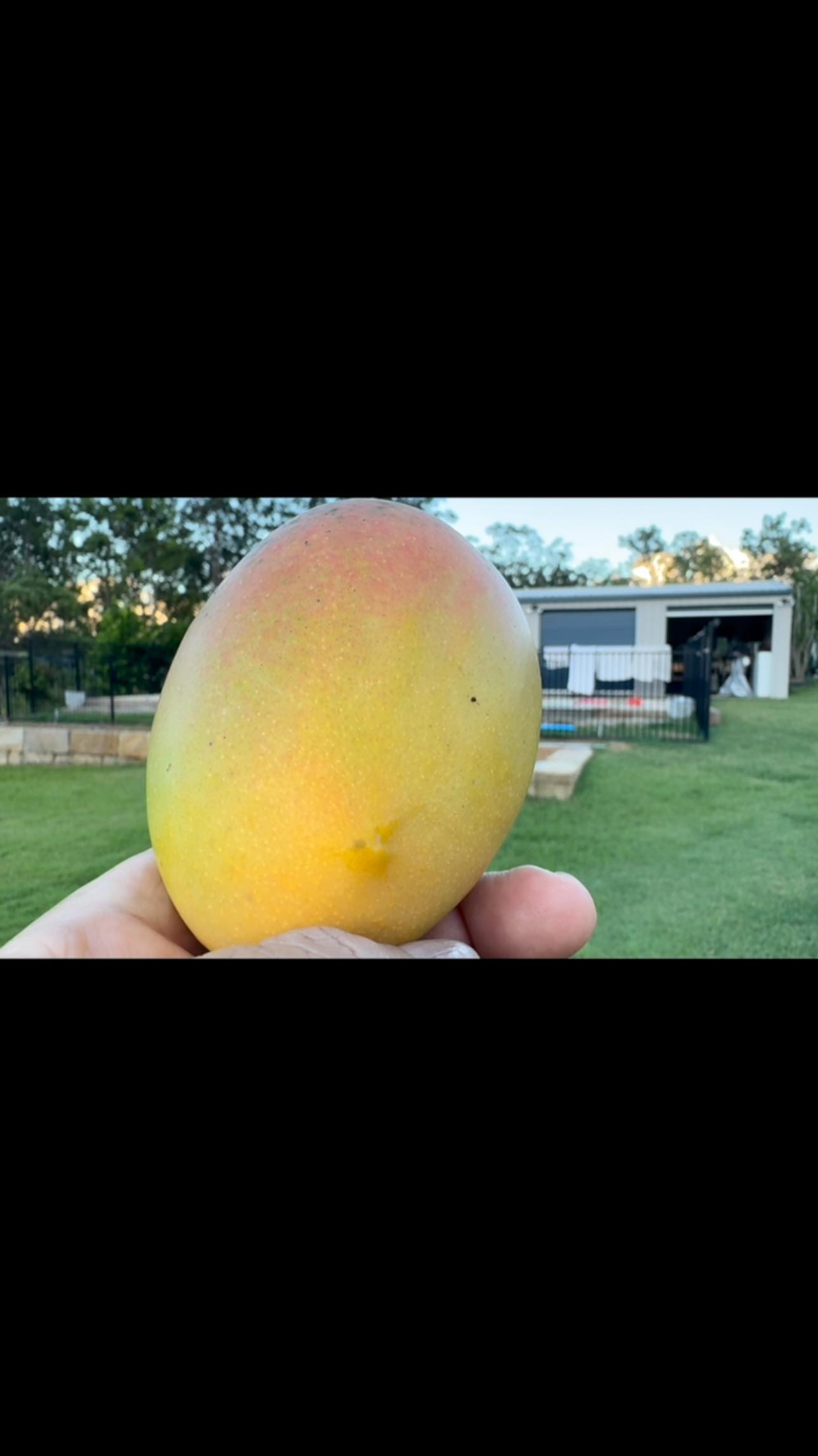 Tuita Fatani Tavake Talanoa