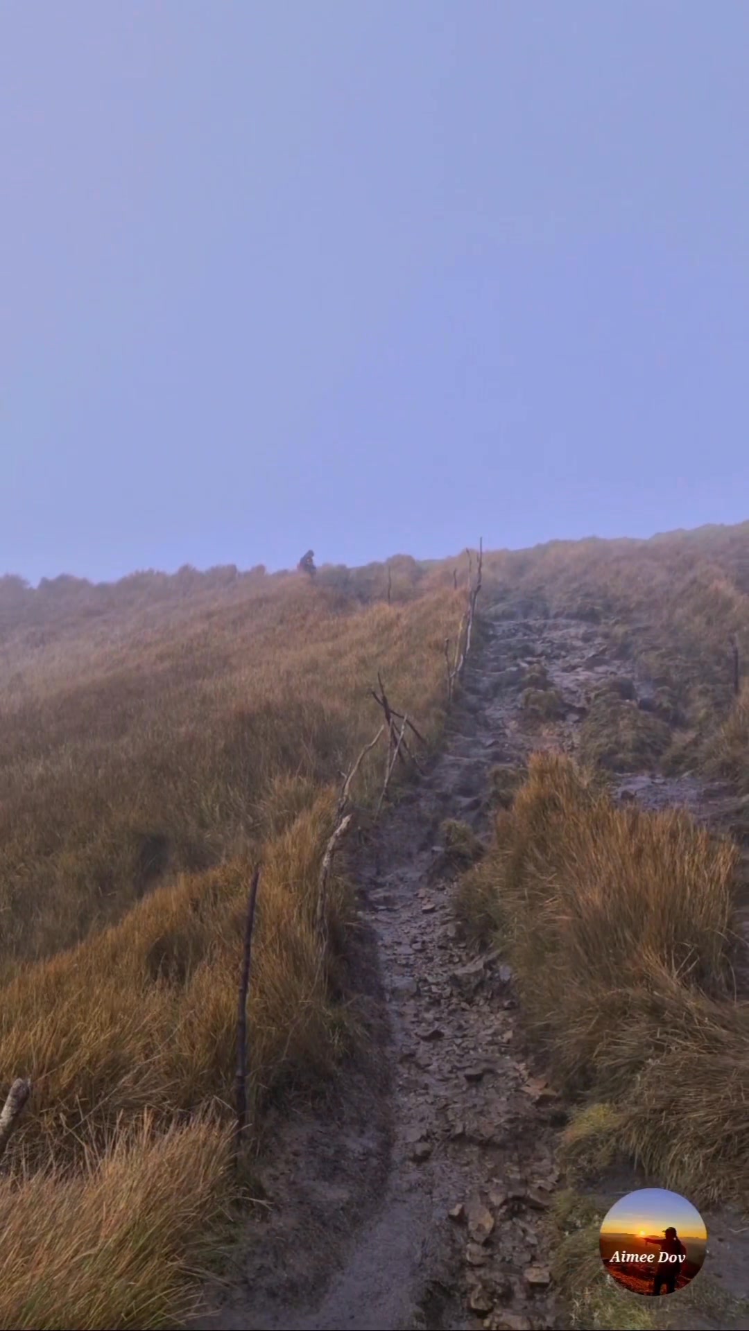 The final steps to the Summit of Mt Pulag. Sa mga may gusto ng ...
