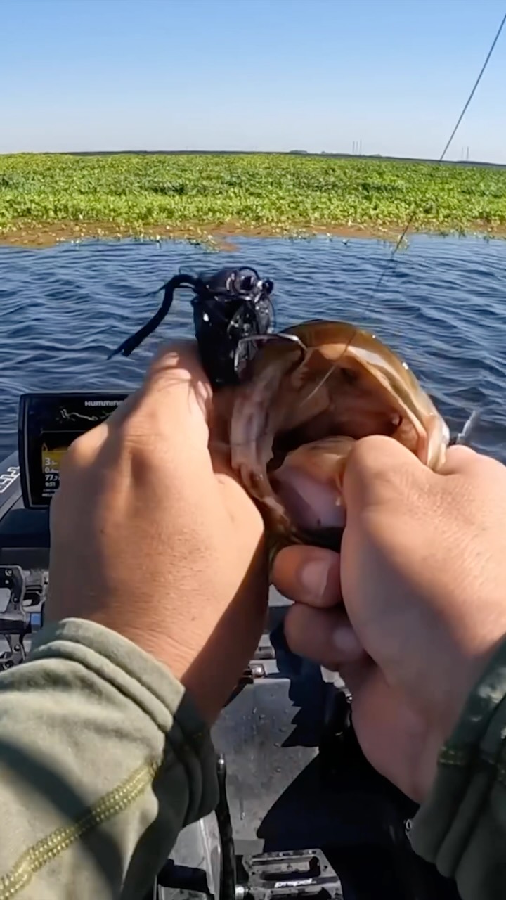 fin nor conventional fishing reels Fin-Nor - No. 4 Anti-Reverse Fly Reel - LHW COLOUR:BLACK/RED Are you using swimbaits? Inches Per Turn Bronze