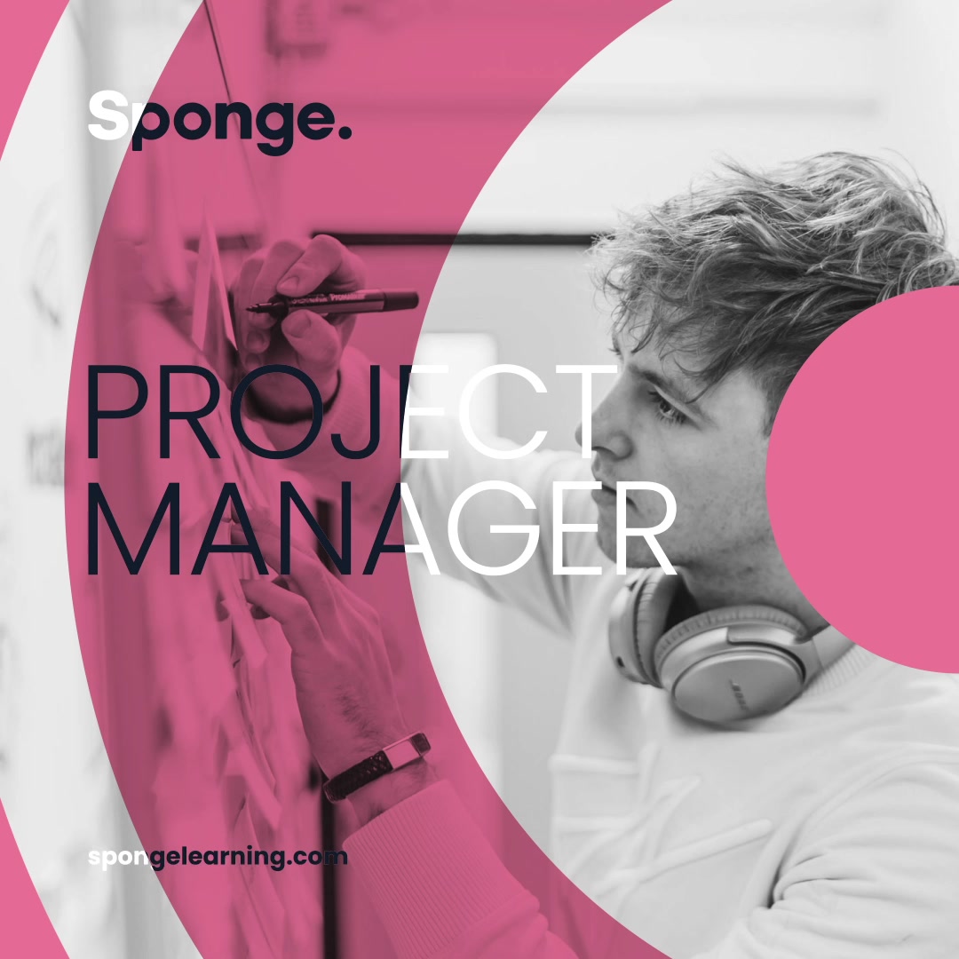Sponge | Plymouth