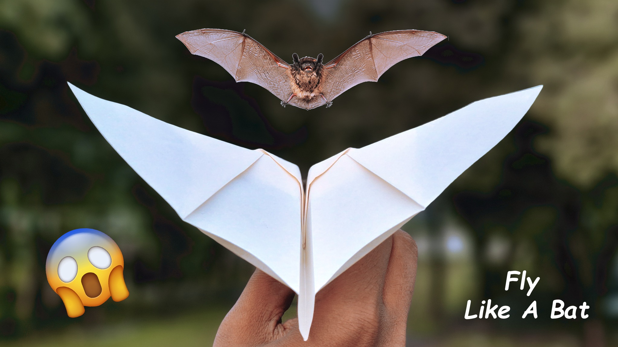 How to make paper flapping bat -... - DIY And Paper Crafts | Facebook