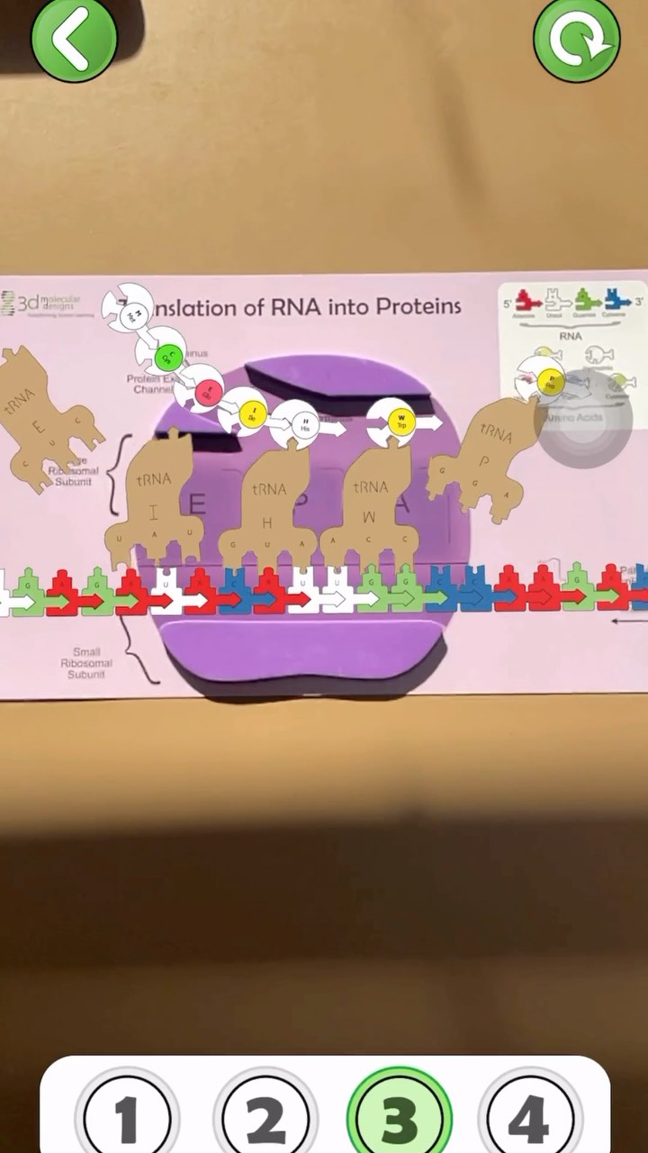 Zoom in on the structures of the cell and watch them come to life with ...