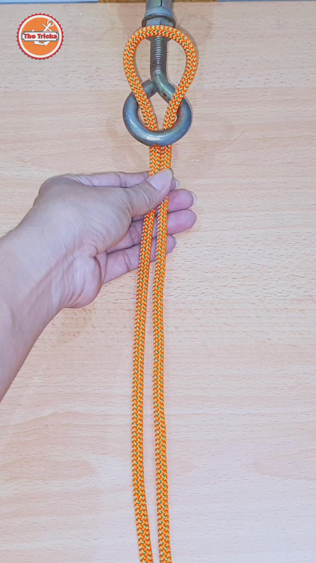 Knots rope tip diy at home ep2581 🇺🇸🪢 #knots #reels #trending #trend # ...