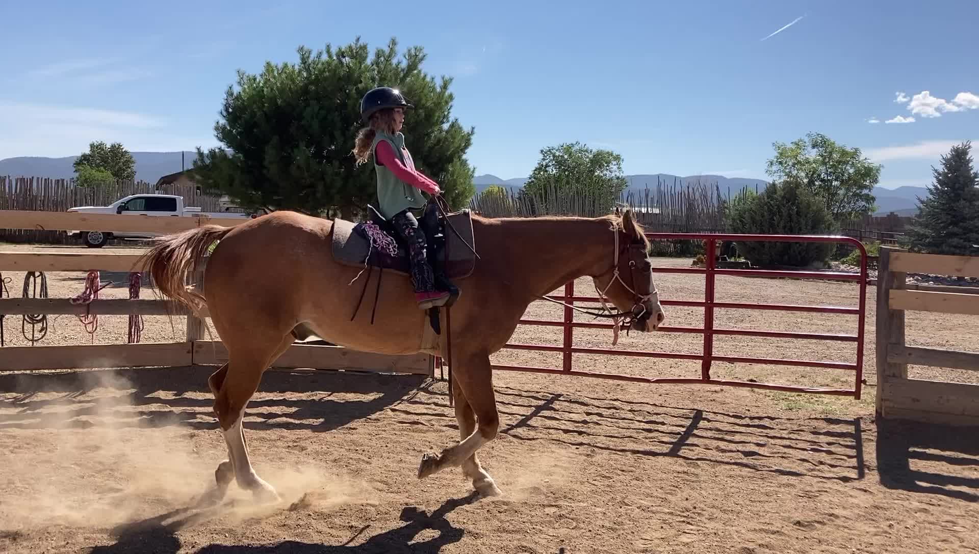 Self-Employed KSC Cattle Company | Ranchos de Taos NM