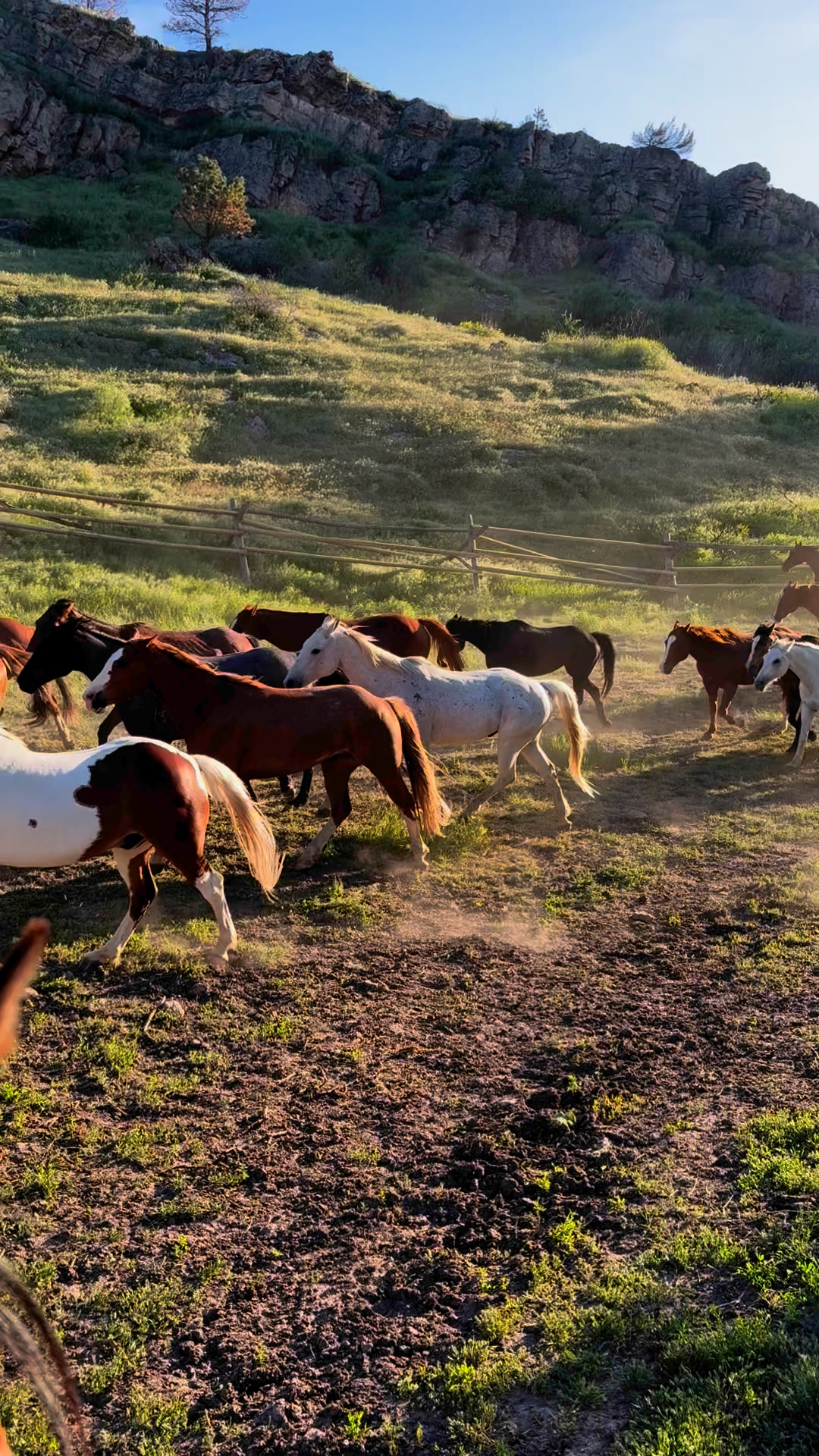 Eatons' Ranch | Wolf WY