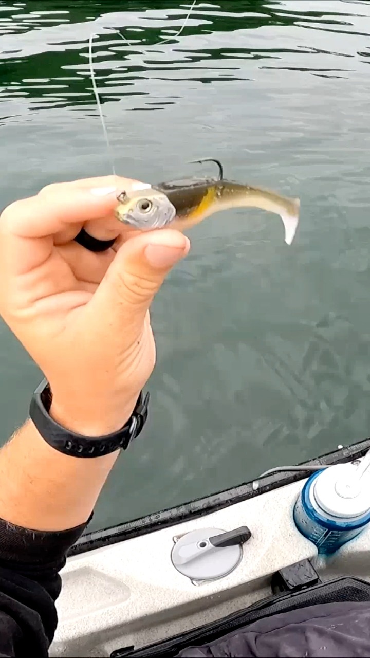 elias v fishing lures 6