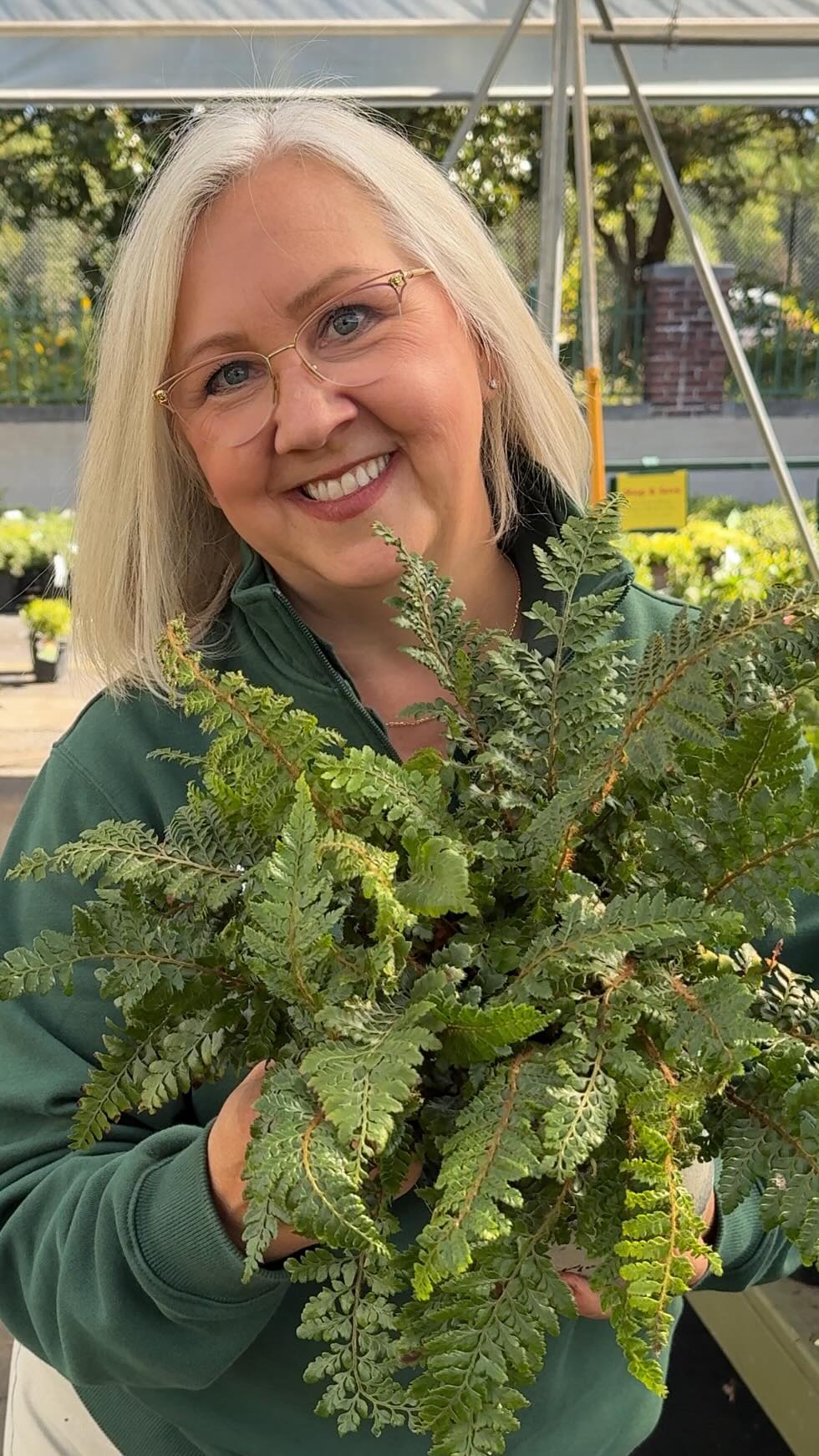 Ferns are the secret to year-round greenery in your shade garden! 🌿 ...
